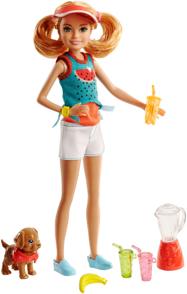 coffret barbie et ses soeurs