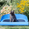 Lit pour animal domestique Cool-Air Cot, 91,5 cm (36 po) de Gen7Pets - Bleu