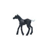 Spirit Mini Horse Collection