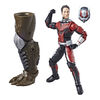 Avengers Marvel Legends Series - Ant-Man 15 cm.