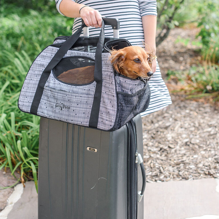 Gen7Pets CarryMe Pet Carrier Starry Night Toys R Us Canada