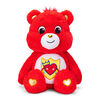 Care Bears 14" Plush Destiny Bear - R Exclusive