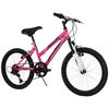 Avigo Ultrax - 20 inch Mountain Bike  - R Exclusive