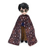 Wizarding World Harry Potter, 8-inch Harry Potter Doll Gift Set with Invisibility Cloak and 5 Doll Accessories