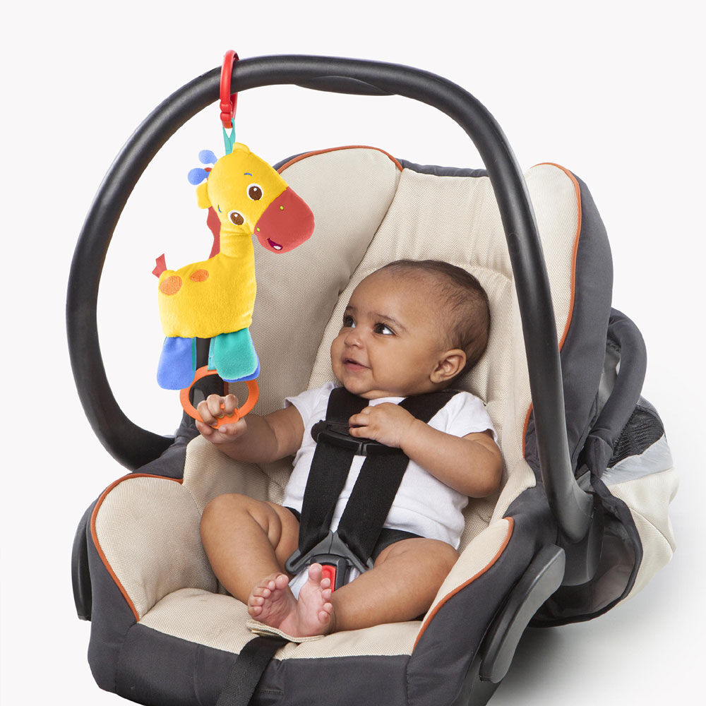 zippy zoo activity gym