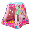 Minnie Mouse 20 Ball Playland