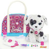Ensemble de Véto Barbie Bisous et Soins - L'assortiment peut varier