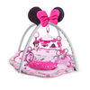 Disney Baby Minnie Mouse Garden Fun Activity Gym