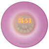 Brookstone Alarm Clock wFM Radio Sound - English Edition