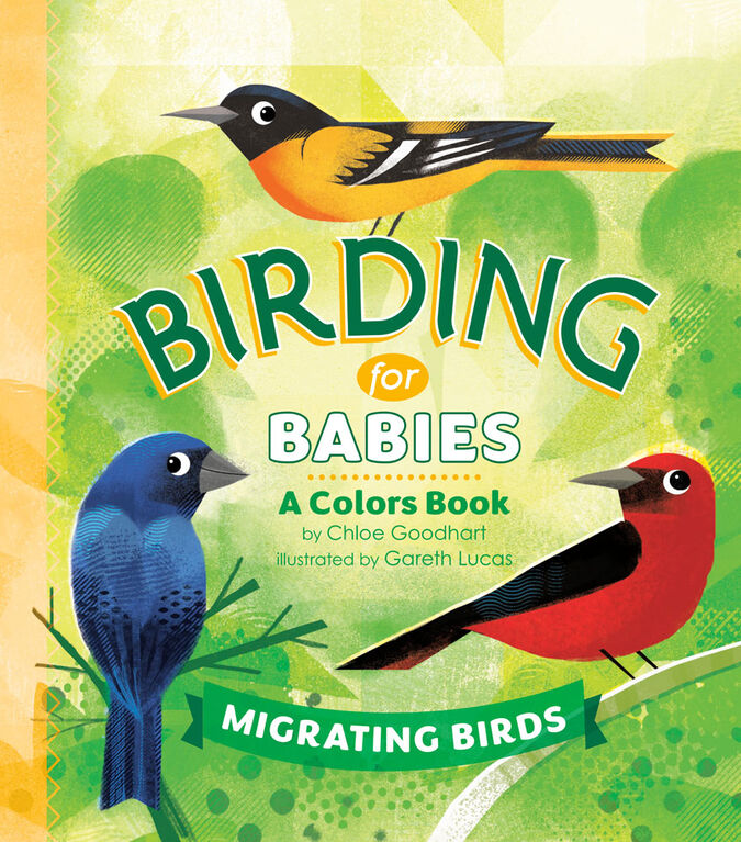 Birding for Babies: Migrating Birds - Édition anglaise