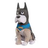 DC SUPER-PETS Small Plush ACE THE BAT-HOUND Toy, BATMAN, 9-Inch Stuffed Animal - R Exclusive