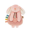 Itzy Lovey Bunny