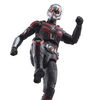 Hasbro Marvel Legends Series Ant-Man, Ant-Man and the Wasp: Quantumania Marvel Legends Action Figures, 6 Inch