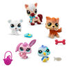 Littlest Pet Shop Besties D'Hiver 5-Pk