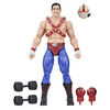 G.I. Joe Classified Series #114, Big Boa Action Figure