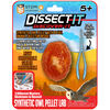 Dissect It - Discover It- Synthetic Owl Pellet Lab
