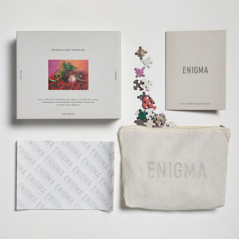 Enigma Art Puzzles Ana Elisa Egreja 550 piece puzzle - English Edition