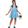 Wizard of Oz Dorothy Costume, Size Large (10-12)