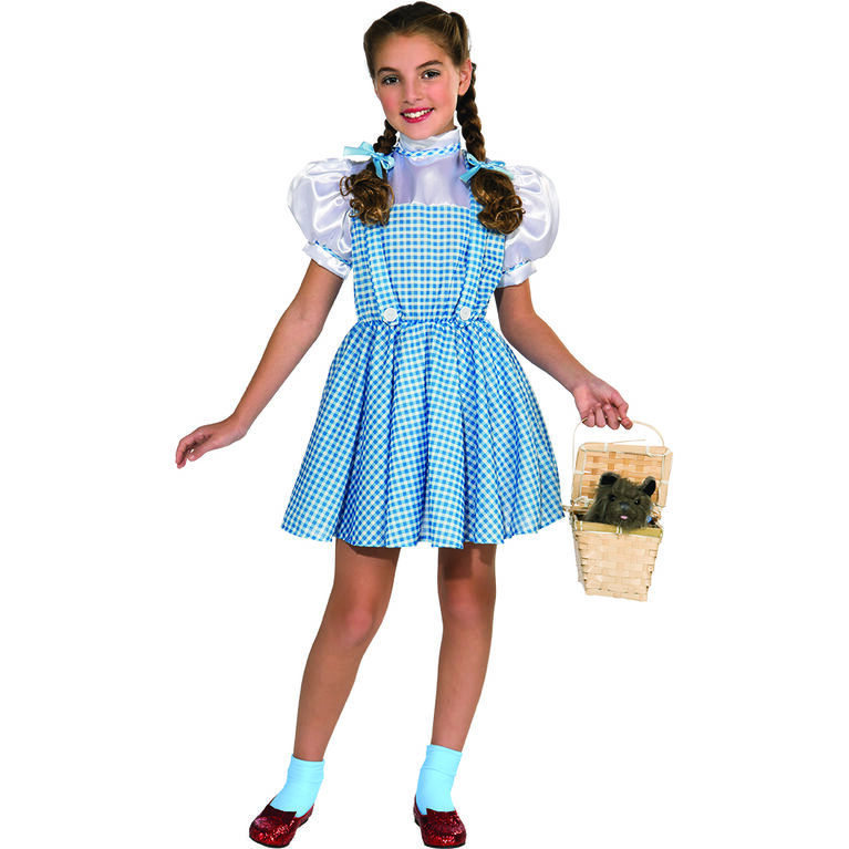 Wizard of Oz Dorothy Costume, Size Large (10-12)