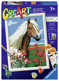 CreArt Haflinger  - Paint by numbers