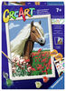 CreArt Haflinger - Paint by numbers