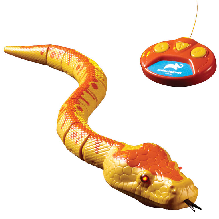 Animal Planet - Python royal radiocommandé - Notre exclusivité | Toys R ...