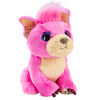 Scruff A Luv'' Cutie Cuts - Pink