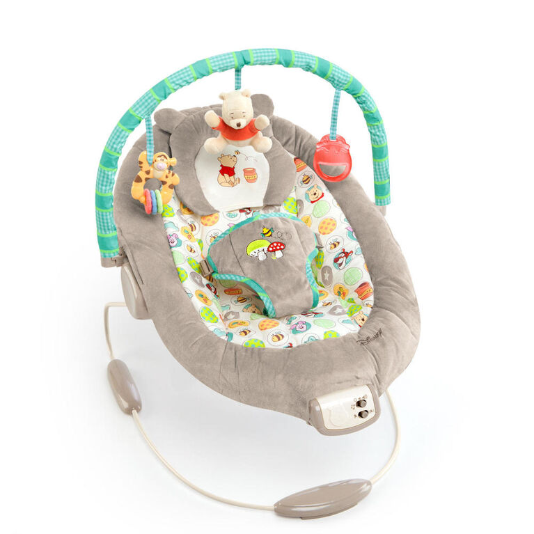 Transat de Disney Baby et Bright Starts Winnie l'Ourson Dots & Hunny Pots