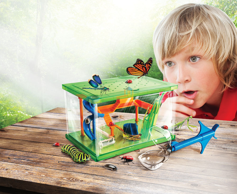 Smartlab bug playground new arrivals