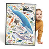 Puzzlove Animaux Marins
