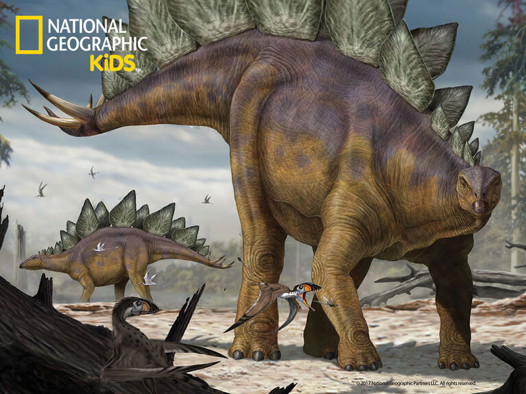 National Geographic Stegosaurus - 100 pc 3D Puzzle