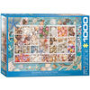 Eurographics Seashell Collection 1000 piece puzzle