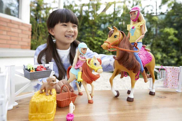 Coffret de jeu BARBIE avec poupées Barbie et Chelsea, 2 chevaux et plus de 15 accessoires