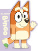 Bluey: All About Bingo - Édition anglaise