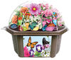 Bountiful Butterfly Biosphere Terrarium - English Edition