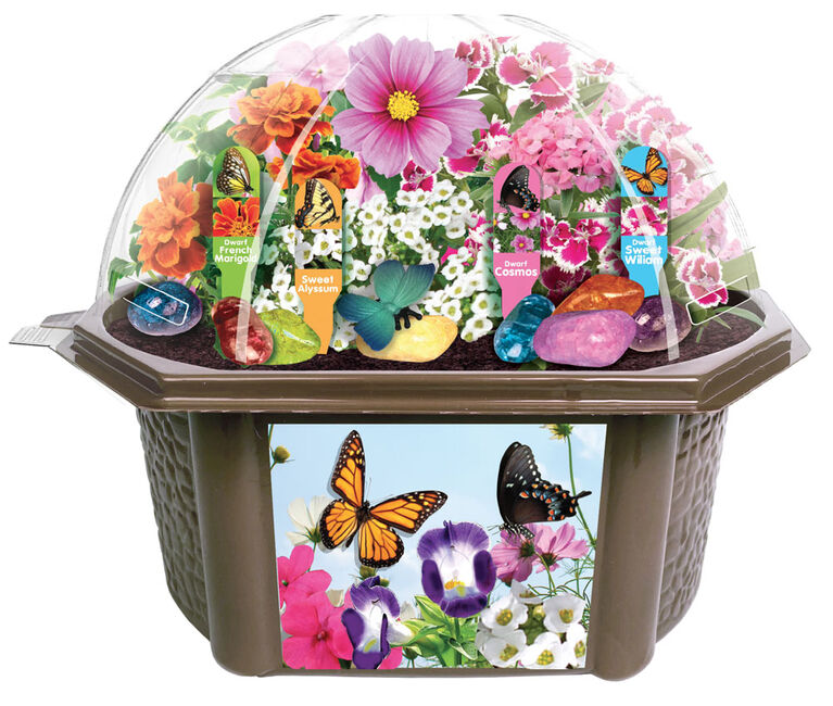 Bountiful Butterfly Biosphere Terrarium - English Edition