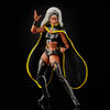 Hasbro Marvel X-Men Series 6-inch Collectible Storm and Marvel's Thunderbird Action Figure Toys - R Exclusive