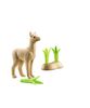 Playmobil - Wiltopia - Young Alpaca