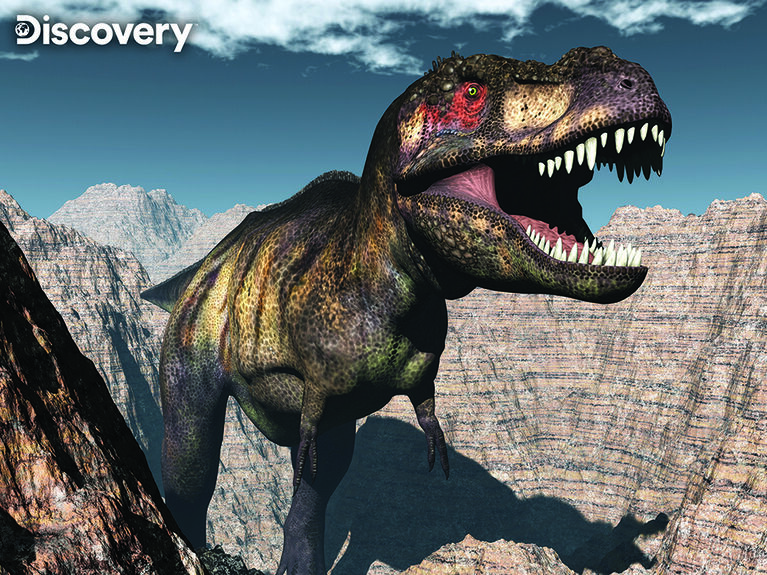 Discovery Dinosaur 100Pc Casse-Tête