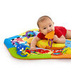 Baby Einstein - Rhythm of the Reef Play Gym