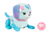 Lil' Cutie Pup - Shelly