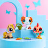 Littlest Pet Shop Pet Trios S3 - Barnyard Pets