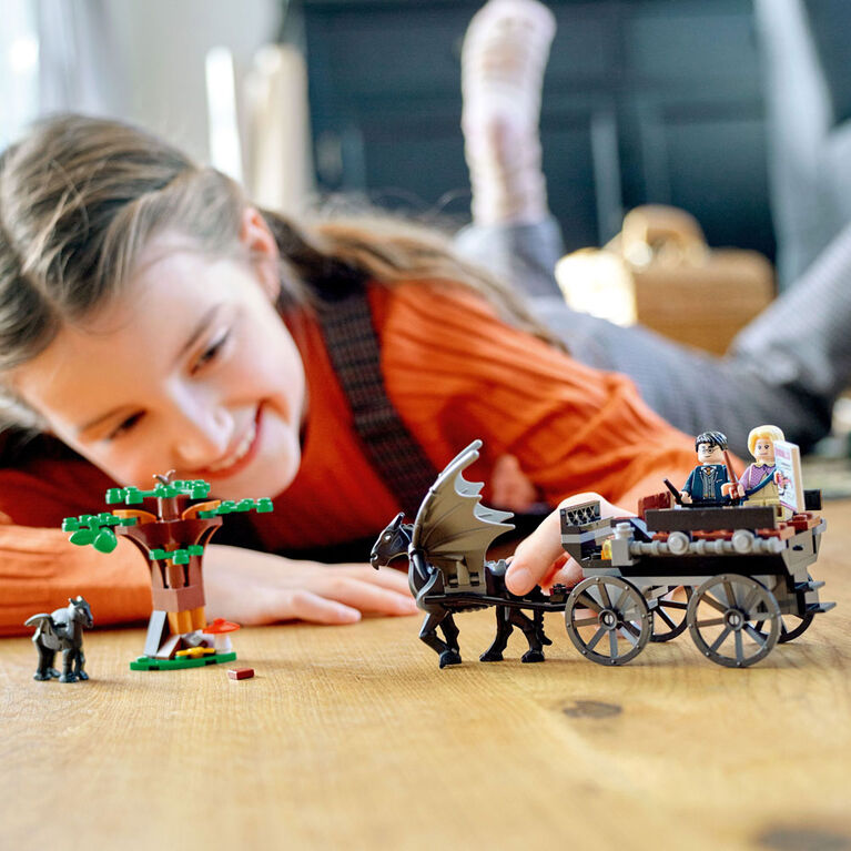 LEGO Harry Potter La calèche et les Sombrals de Poudlard 76400 Ensemble de construction (121 pièces)