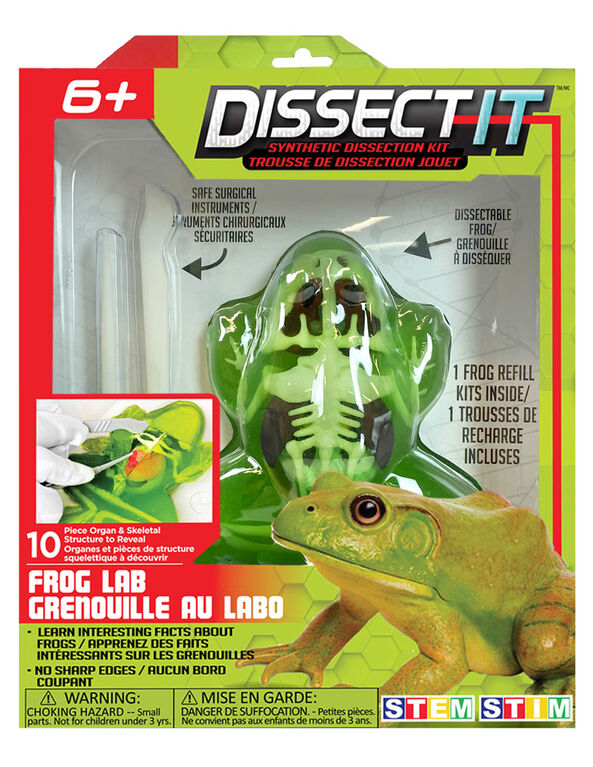 Dissect It - Frog
