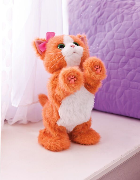 Peluche chat joueur