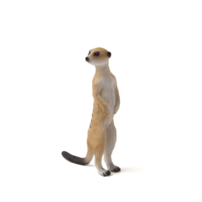 ALEX - Meerkat - Small