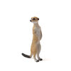 ALEX - Meerkat - Small