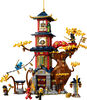 LEGO NINJAGO Temple of the Dragon Energy Cores 71795 Building Toy Set (1,029 Pieces)