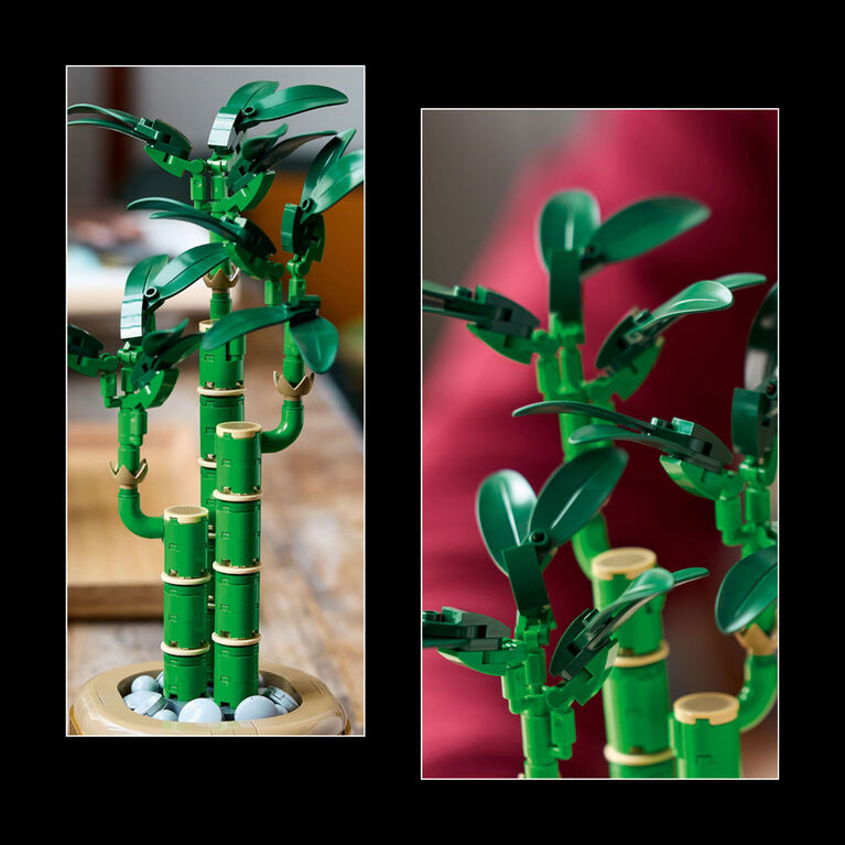 LEGO Botanicals Lucky Bamboo Building Set - Fake, Artificial Plants for Indoor Home Décor - 10344