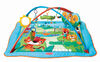 Gymini Kick n Play - Safari